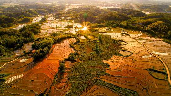 ��С���󽥻� ���������㡱С��ʱ�ڣ�����ˮ�ĵ����������ж�����һ���ɫ��ˮ�������ڹ���ˮ����������׳�ɳ���Ϊ���մ����˺û�����ͼΪ���������е�����ɽ��ˮ�������ʡ������캵��ؼ�ί��ί ��԰15156381104