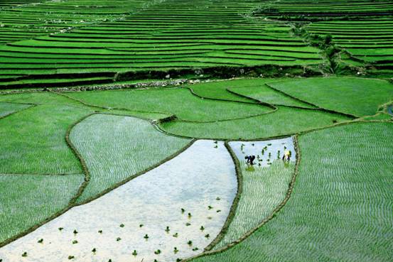 ���������С��������һ�ĺ�ʱ����ֵ�Ϸ�ݳ��ĳ���ʱ�ڣ���Ұ���֣���ˮ���棬���͵�ũ������æ�Ų������ɶ���˫������ί ��ΰ13880683773