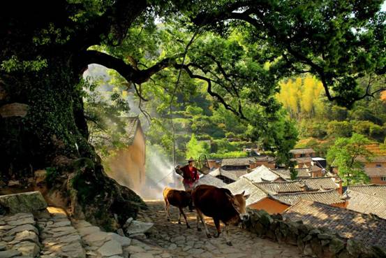 С���º�����Ũ����սũæδ���ɡ�С��ʱ�ڣ������������ߣ������ʱ������С��ӯ�������ճ�������ũ�ˣ��ֽ�����ũæʱ�ڡ�����ʡ�����м�ί ������15216181234