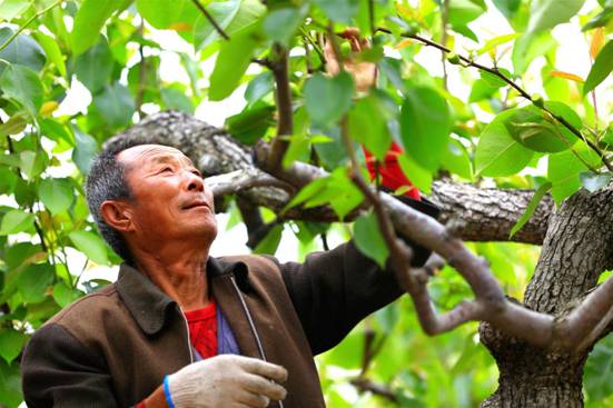 �����棬���ҵ�����־������Ʒ�����������������������У��γ���һ�����صĴ�ͳ�������������ֳ�ժ�࣬����������һ���������ʷ��_meitu_2